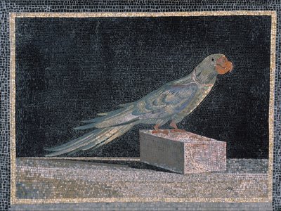 Parrot Mosaic by Unbekannt Unbekannt